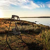 DDOS压力测试网页端