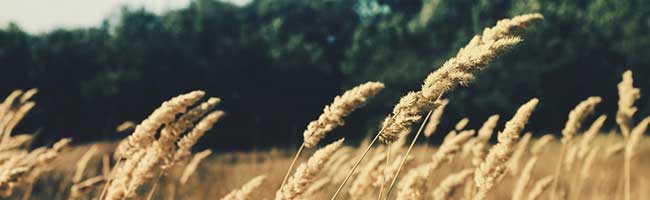 ddos攻击ip软件下载