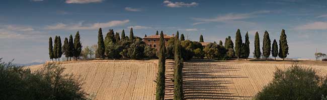 【新手入门版】零基础的手机版ddos攻击器