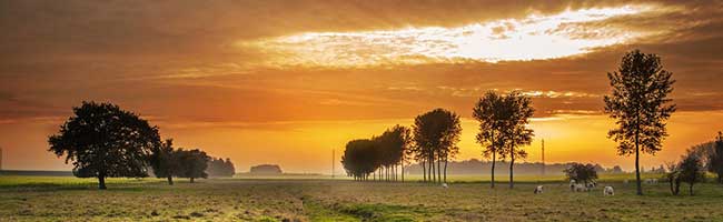 在线DDOS攻击平台